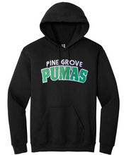 Pine Grove Grad Hoodie