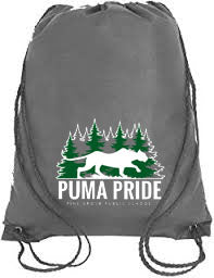 Cinch Bag